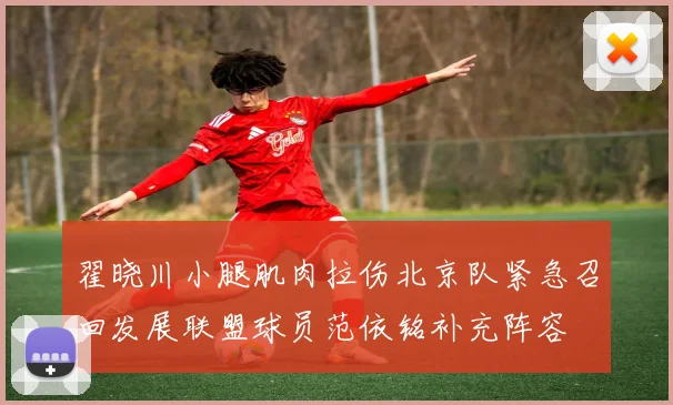翟晓川小腿肌肉拉伤北京队紧急召回发展联盟球员范依铭补充阵容