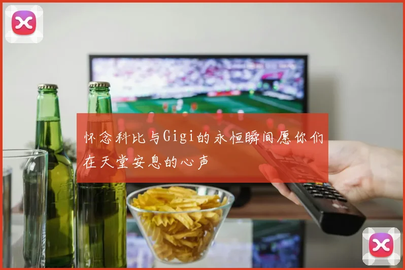 怀念科比与Gigi的永恒瞬间愿你们在天堂安息的心声